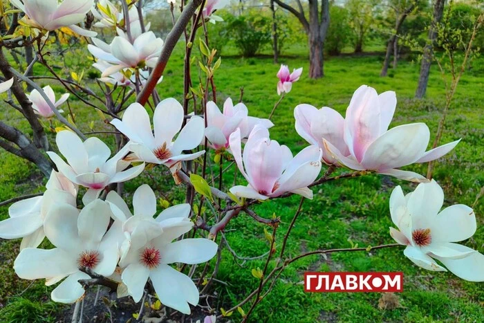 Люди в зимних верхних одеждах