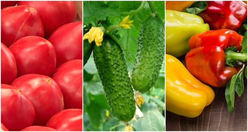 Gemüse wird teurer: Wie sich die Preise für Tomaten, Gurken und Paprika im März verändert haben