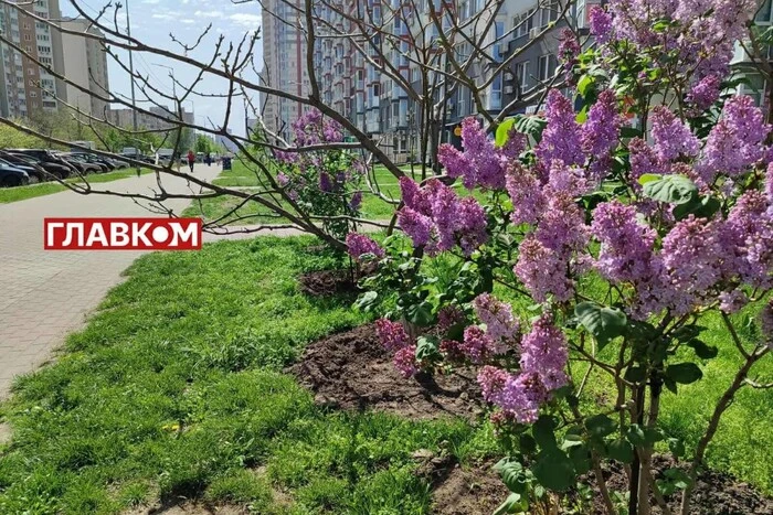 Ukrainian weather forecast for May 11