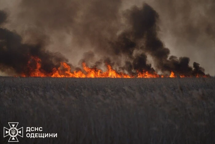 Масштабный пожар в Одесской области