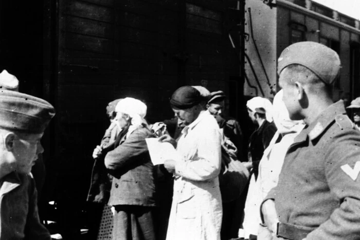 Der Verlust der Ukraine im Zweiten Weltkrieg. Historiker nennt die wahrscheinliche Zahl der ukrainischen Verluste