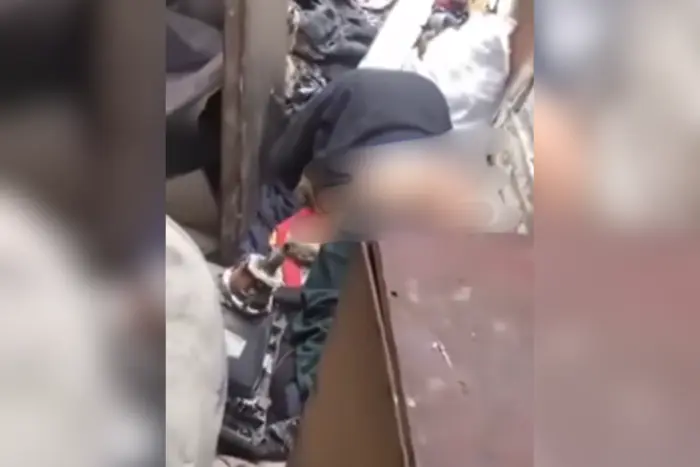 Scandal in Odesa Region: Police Investigates Dog Rape, Evidence Collected