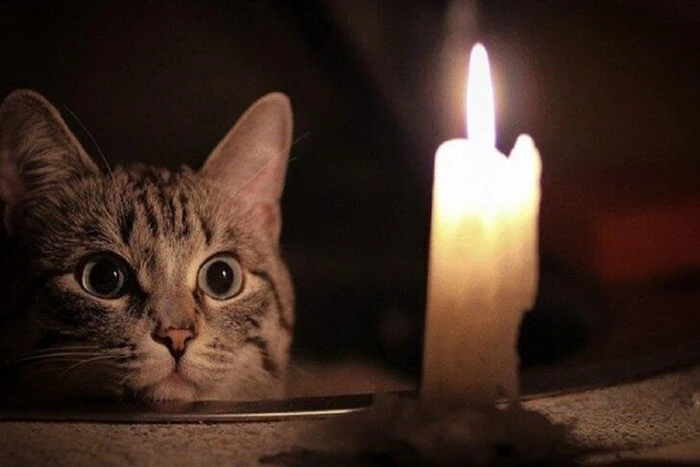 Ukrenergo responded whether Ukrainians should prepare for power outages in the summer