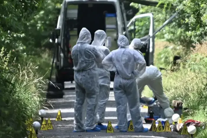 Murder of a Ukrainian woman and her daughter in Germany: new details have emerged