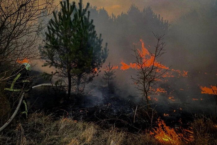 Fires in Ukraine's ecosystems: today's statistics