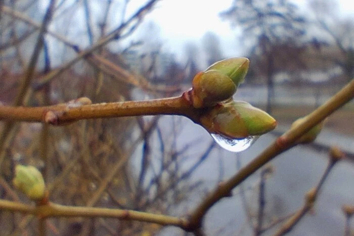 Cloudy picture, occasional rain: May 3