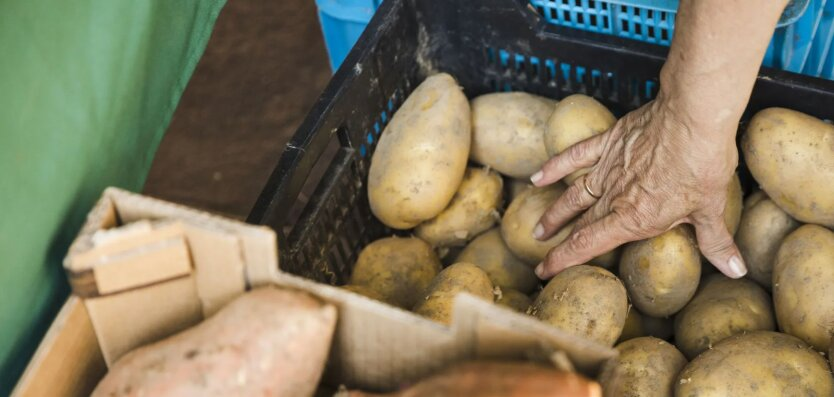 Himmlische Preise: Anomaliehitze wirkt sich auf den Preis von Kartoffeln und anderen Gemüsesorten aus