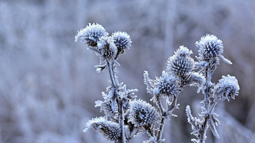 Atmospheric front with snow and cooling