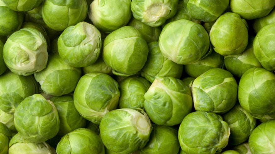 Flowering and Brussels sprouts cabbage in the garden