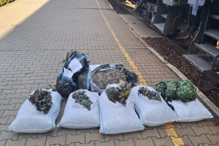 Lithuanian customs officers confiscated camouflage nets