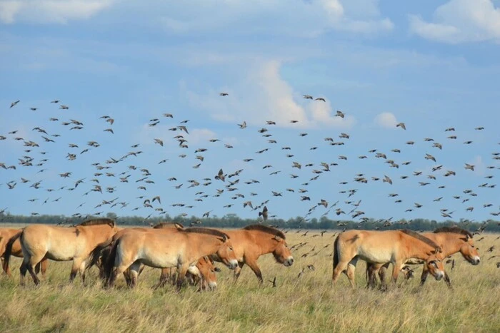 Violation of the natural zone in the reserve