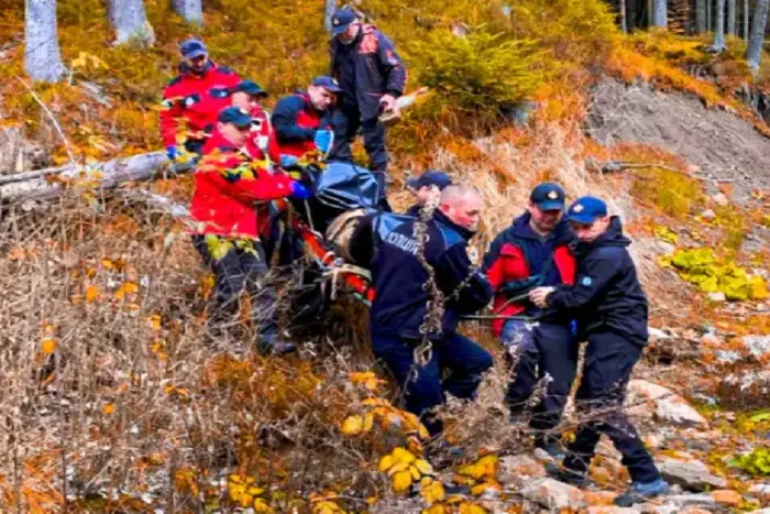 Search for mushroom pickers in the Carpathians: one did not survive