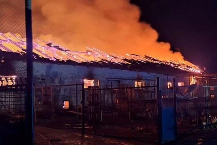 A horse farm burned down, 140 animals died