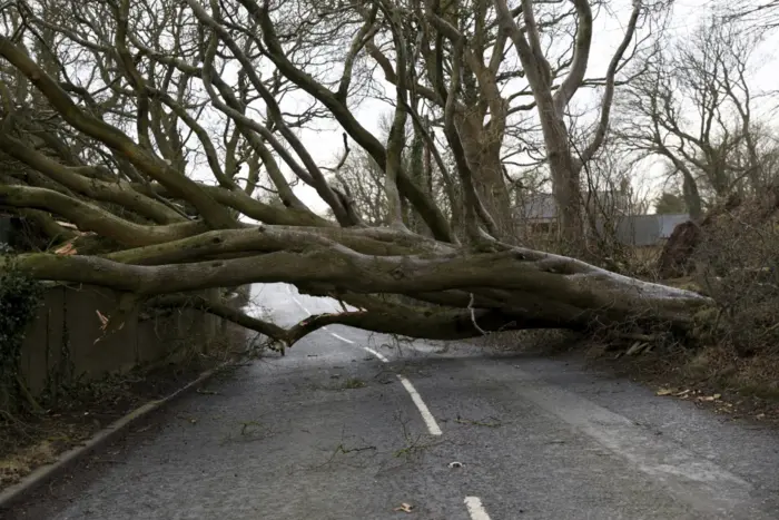 Irland und Schottland wurden von einem starken Sturm getroffen (Foto)