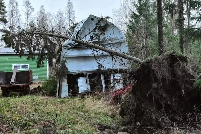 Ураган в Фінляндії залишив без електрики