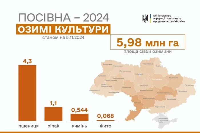 Засіяний розсадник озимої культури в Україні