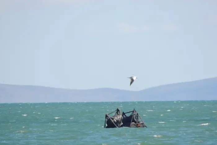 Das Meer hat die Barrieren weggespült, mit denen Russland die Krimbrücke schützt (Foto)