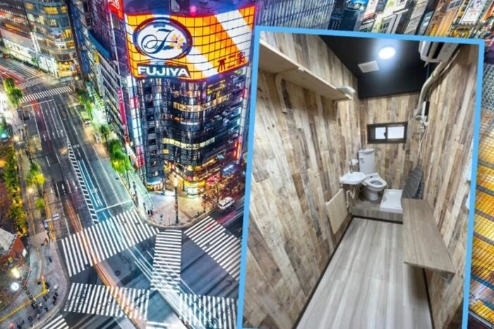 Renting an apartment in the shape of a toilet