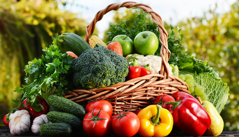 Large vegetable storage facility of the Ukrainian network in the regions