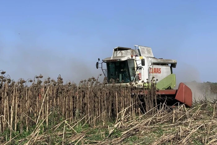 Ukrainian harvest-2024: record collection of diverse crops