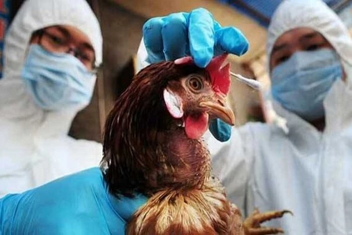 First death from H5N1