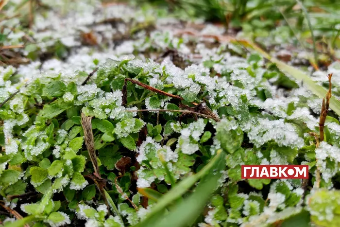 Ukraina stoi w obliczu gwałtownego ochłodzenia: kiedy spodziewać się pierwszego śniegu