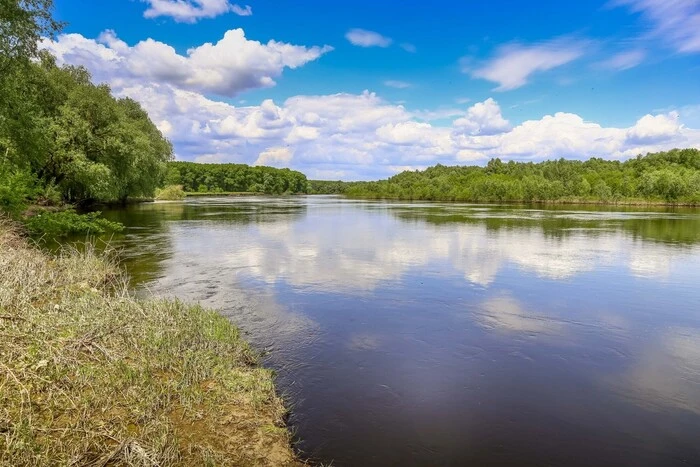 Якість води в річках Сейм і Десна