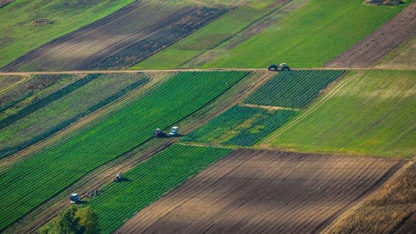 Subleasing land: agrochemical passports of Ukrainians