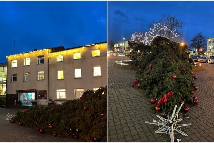 Ялинки впали в містах Литви