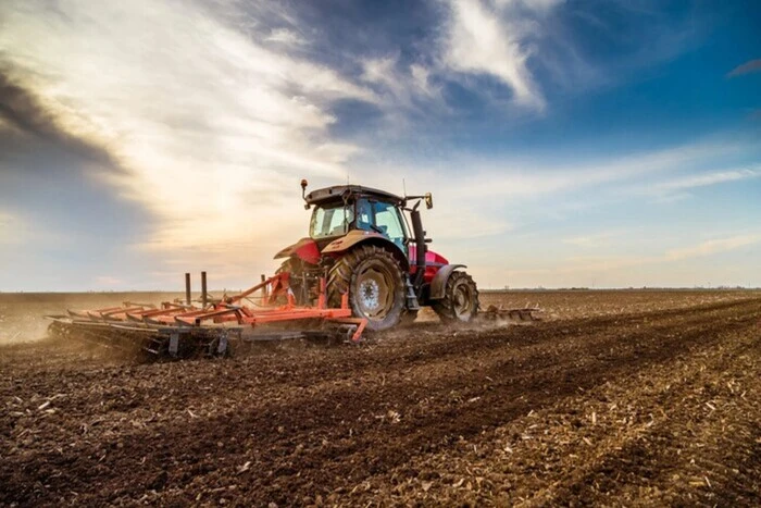 Sowing winter crops in Odessa