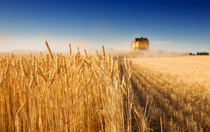 Agricultural registry - support for Ukrainian farmers