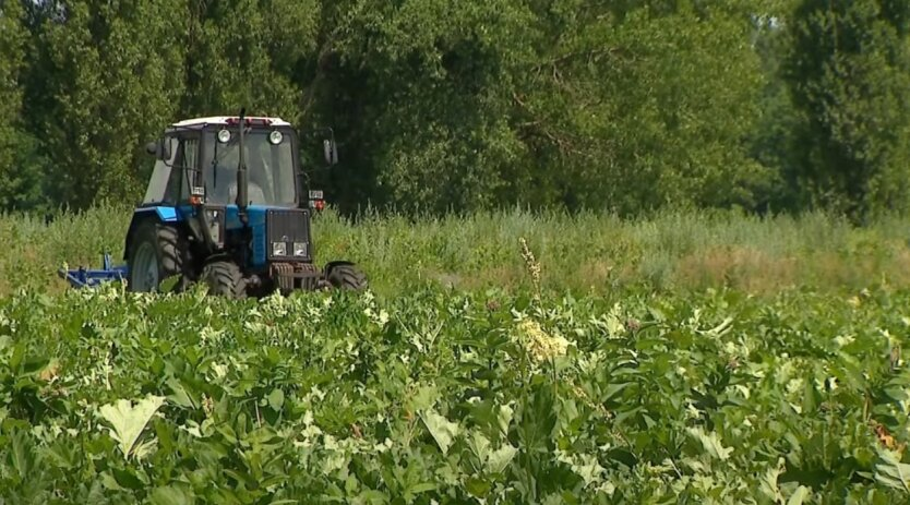 Certified Ukrainian farmers receive grants