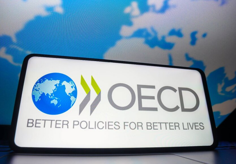 NABU experts comment on membership in the OECD working group