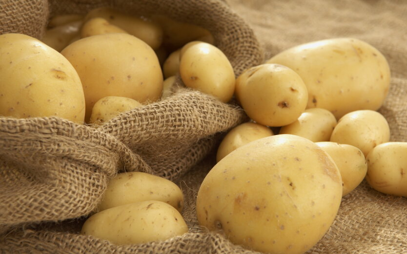 Potatoes more expensive: impact on prices