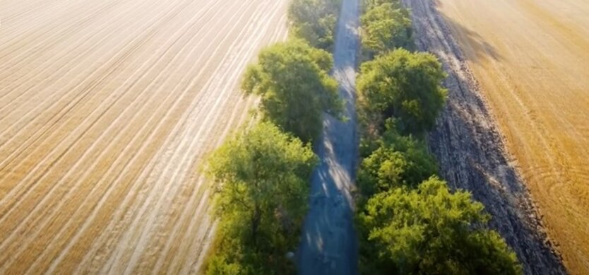 Ukrainians litter fields with garbage