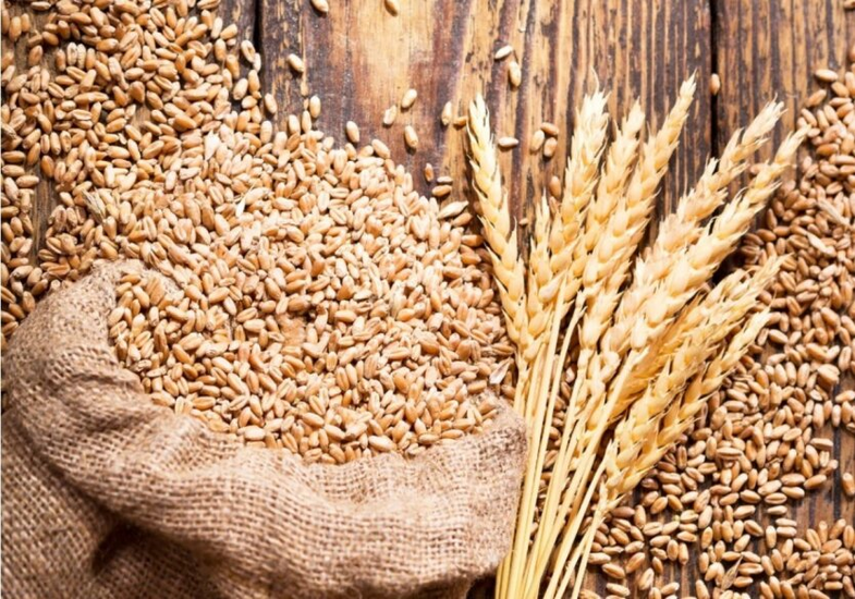 Ukrainian grain seeks the Egyptian market