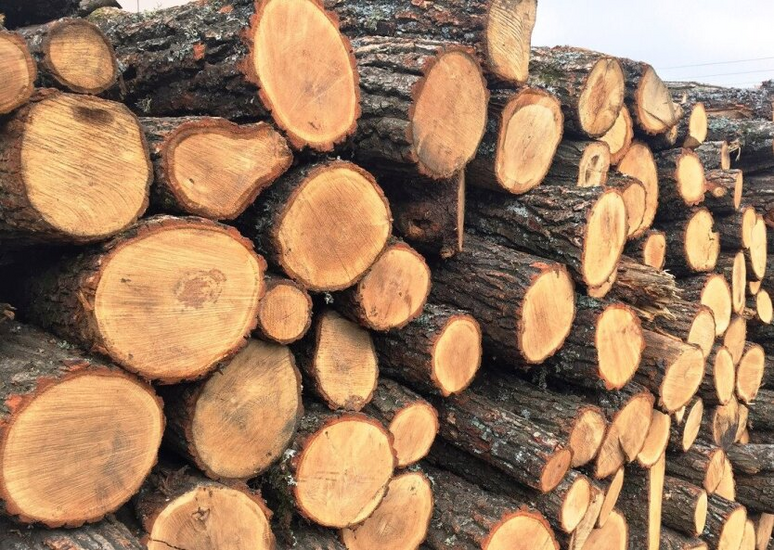 Million fines for wood storage