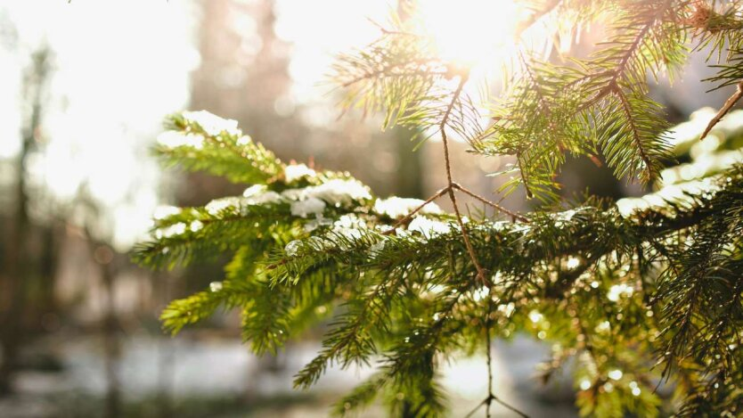 Der Winter wird zurückkommen: Meteorologen berichten, wo man mit strengen Frösten und Schneefällen rechnen kann