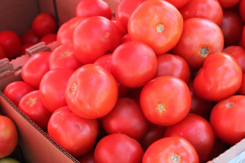 Prices for cucumbers and tomatoes in December