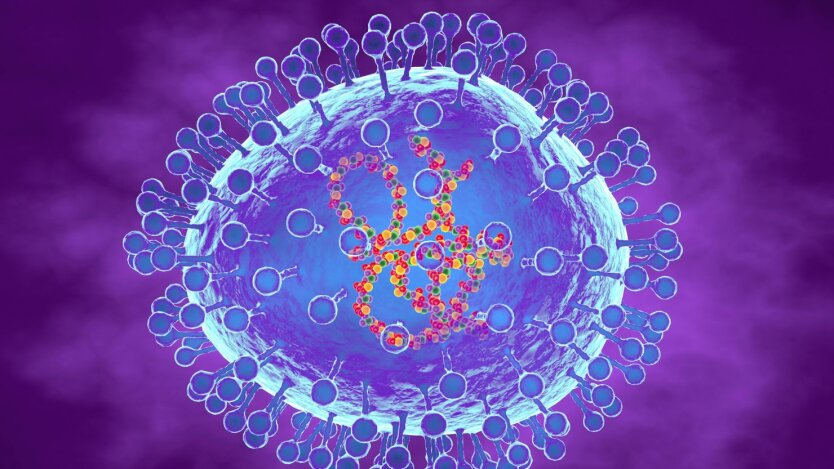 Die WHO bewertet die Risiken des Metapneumovirus aus China