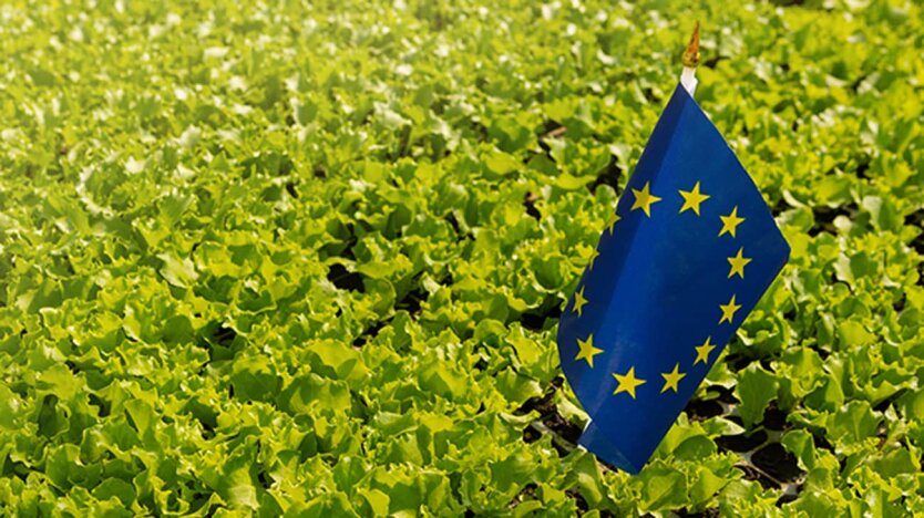 EU may raise tariffs on imports from Ukraine: FT learned details
