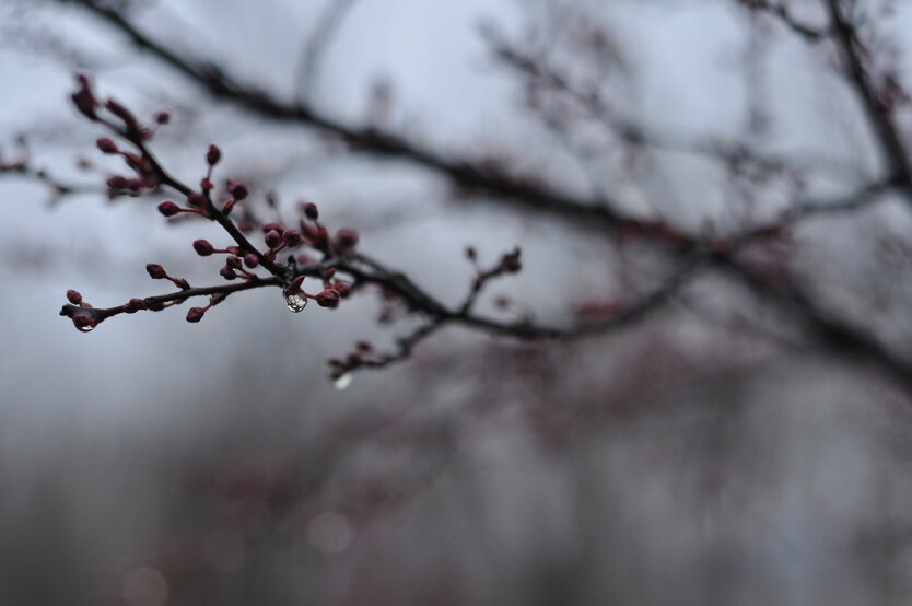 Aufwärmen auf +17, aber mit Regen und Schnee: Wettervorhersage für die Woche