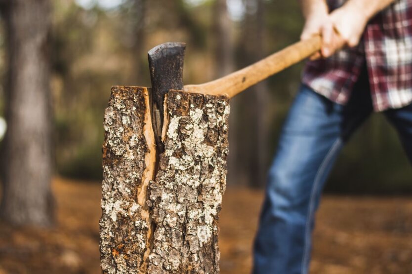 Firewood for Ukrainians: obtain it legally!