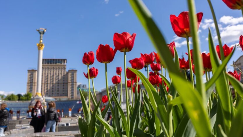 Frosts in May, heat and drought in summer: forecasters said what weather Ukrainians should prepare for