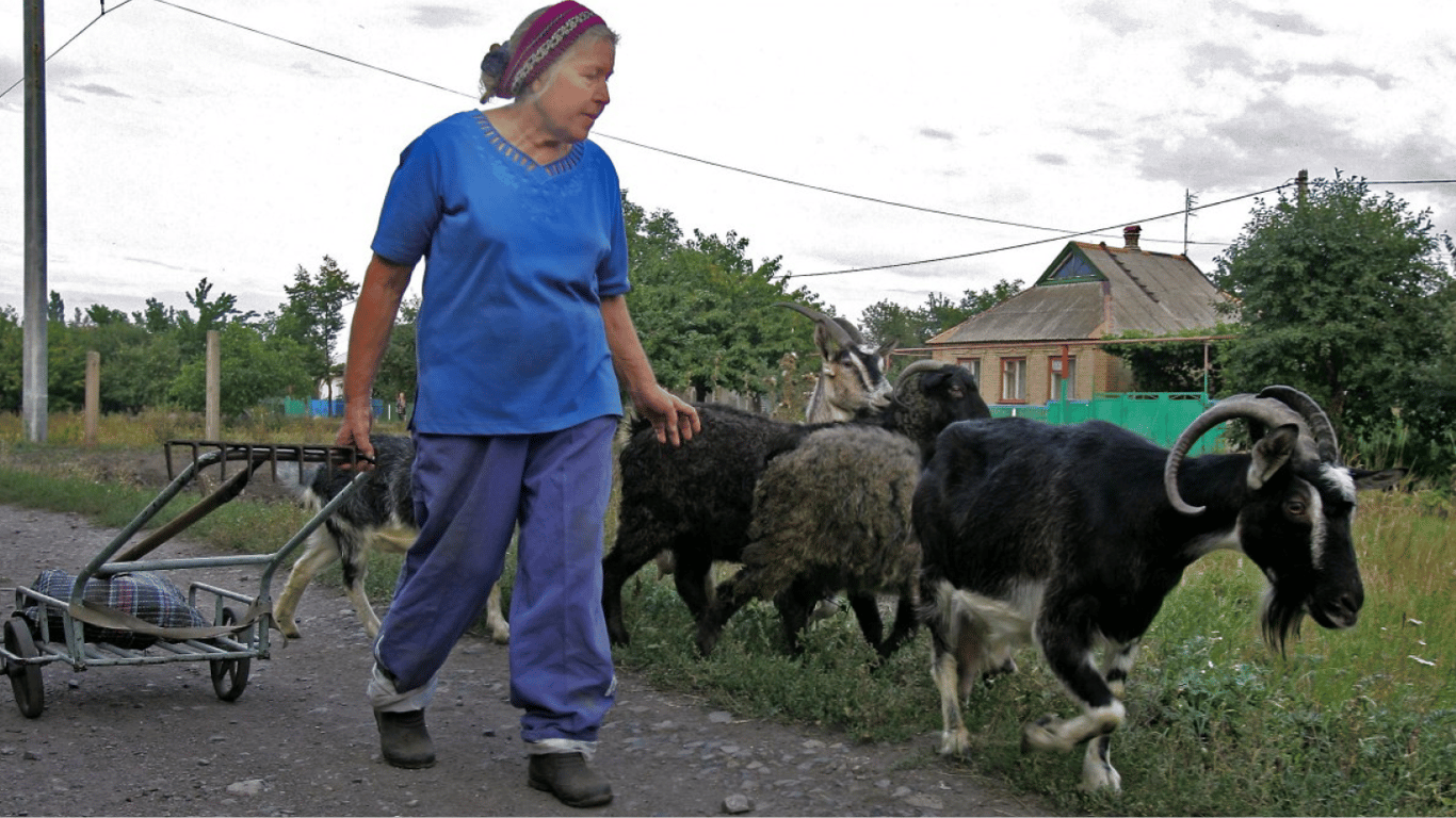 Pension Assistance - What Benefits Will Ukrainian Women 60+ Receive in August