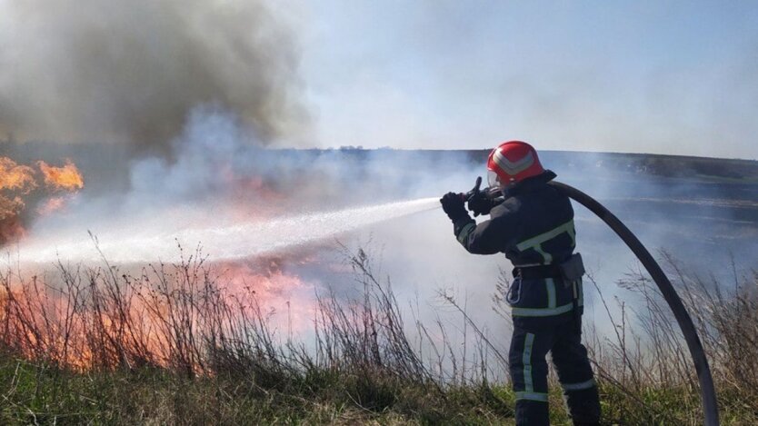 Fines and imprisonment for burning grass