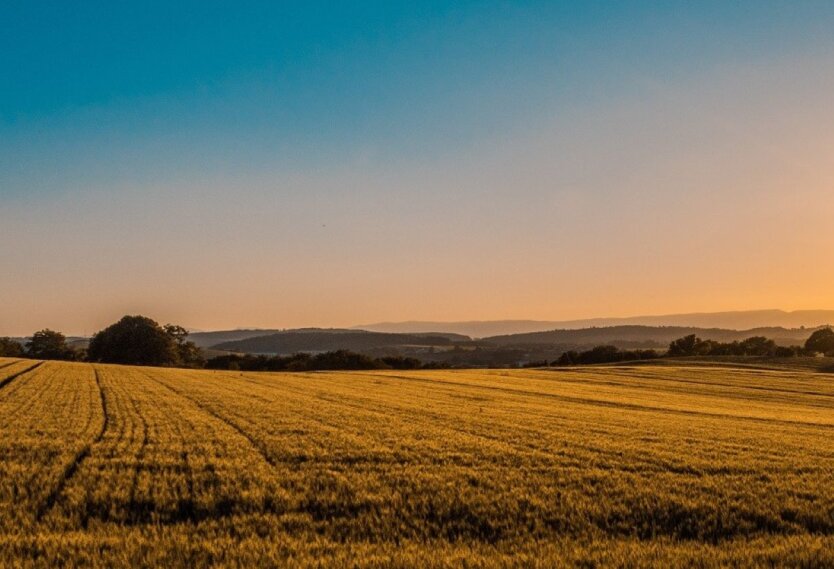 Erwerb von 2 Hektar Land im Jahr 2025: Welche Kategorien von Ukrainern haben das Recht dazu