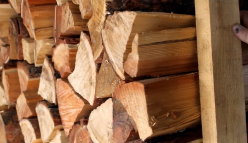 Ukrainer werden Holz zum Preis kaufen, der doppelt so niedrig ist wie der Marktpreis